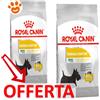 Royal Canin Dog Mini Dermacomfort - Offerta [PREZZO A CONFEZIONE] Quantità Minima 2, Sacco Da 8 Kg