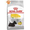 Royal Canin Dog Mini Dermacomfort - Sacco Da 3 Kg