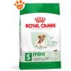 Royal Canin SHN Dog Mini Ageing 12+ - Sacco Da 800 Gr