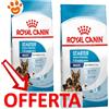 Royal Canin Dog Maxi Starter Mother & Babydog - Offerta [PREZZO A CONFEZIONE] Quantità Minima 2, Sacco Da 12 Kg
