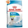 Royal Canin Dog X-Small Puppy - Sacco da 500 Gr