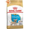 Royal Canin Dog Puppy Chihuahua - Sacco da 500 Gr