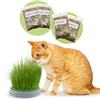 R&R SHOP - Kit Erba Gatta Double Seeds - Vaso Germinante, 2 tipologie di Erba Gatta, Stimolante e Digestiva, 4 Bustine di Semi e Substrato, Adatto a Tutti i Gatti