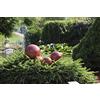 HGD CS32-400 - Sfera da Giardino, Colore: Rosso