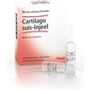 Guna-heel Cartilago Suis-injeel Medicinale Omeopatico 10 Fiale