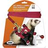 ICA DA970 Set Imbracatura e Cinghia per Furetti, Rosso