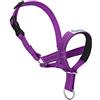 Pawaboo Cavezza da Testa per Cane, Cintura Regolabile Riflettente in Nylon con Museruola e Collare, Taglia M, Viola