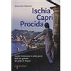 Iacobellieditore Ischia Capri Procida. Guida romanzata in sette giorni delle tre gemme del Golfo di Napoli