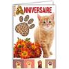 Afie 67-1234 - Biglietto di auguri di compleanno con gattino e zampette di gatto, motivo: animali, colore: Arancio falvo Tigre, con busta bianca, formato 12 x 17,5 cm