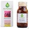 Erbex BIANCOSPINO 100 CAPSULE