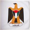 AZ FLAG Bandiera Stemma Palestina 90x90cm - Bandiera PALESTINESA con Blasone 90 x 90 cm Foro per Asta