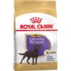 Royal Canin Breed Royal Canin Sterilised Labrador Retriever Adult Crocchette per cane - 12 kg