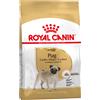 Royal Canin Breed Royal Canin Carlino (Pug) Adult Crocchette - 3 kg