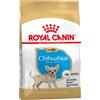 Royal Canin Breed Royal Canin Chihuahua Puppy Crocchette per cane - 1,5 kg