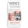 Wolf of Wilderness Adult Great Desert - Tacchino Crocchette per cani - 12 kg