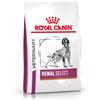 Royal Canin Veterinary Diet Royal Canin Renal Select Canine Veterinary Crocchette per cani - 10 kg