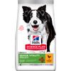 Hill's Science Plan Multipack risparmio! 2 x Hill's Science Plan Crocchette per cani - 2 x 14 kg Senior Vitality Medium Mature Adult 7+ con Pollo