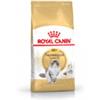 Royal Canin Norwegian Forest Cat - Sacchetto da 2kg.