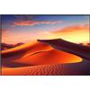 celexon HomeCinema Frame schermo ad alto contrasto 220 x 124 cm, 100 - Dynamic Slate ALR