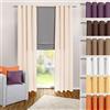 heimtexland ® Tenda con Occhielli, in Panna, a Tinta Unita, Opaca ma traslucida, 245 x 140 cm - Tenda Decorativa in Microfibra con Bellissimo Caso Leggero - Tenda Beige Typ117