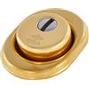 CISA 106490500, Protettore tipo defender Serratura per Cilindro con Vaschetta Antistrappo, Color Ottone