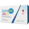 ZACHELASE JUNIOR 10 FLACONCINI DA 10 ML PHARMALUCE Srl