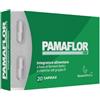 PAMAFLOR 100 20 CAPSULE NAUSICA MEDICAL