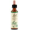 Schwabe Pharma Italia Bach Walnut fiori di Bach per evoluzione spirituale 20 g