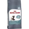 Royal Canin Hairball Care Cats Dry Food 10 kg Adult Corn Poultry Rice Vegetable