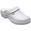NEW BONUS UNPUNCHED BYCAST UNISEX REMOVABLE INSOLE BIANCO 43 SCHOLL'S