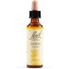 SCHWABE PHARMA ITALIA GORSE BACH ORIG 20ML