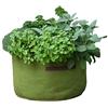 Bosmere Tierra Garden Haxnicks VIG080101 Vigo vasi, Verde, 18 x 18 x 20 cm, Green, 45 x 25 cm