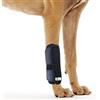 RockPet Tutore Ortopedico Dog Hock Brace per Il Garretto Anteriore Canino (S/M)