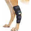 RockPet Tutore Ortopedico Dog Hock Brace per Il Garretto Posteriore Canino (M)