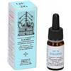 Alkaest Quintessenza QE26 Issopo 10 ml