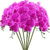 FagusHome 6 Pz Fiori Orchidea Phalaenopsis Fiori Artificiali 80cm Artificiali Phalaenopsis Fiori Orchidea Artificiali Pianta Finta per Decorazione