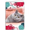 Afie 67-1115 Carta Per Il Tuo Compleanno Gatto Grigio Dolce Fiori Blu Rossi Rosa Made in France
