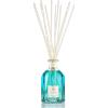Vranjes Firenze Acqua : Formato - 250 ml bamboo