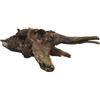 Amtra Legno Mystic Wood - Decorazione per acquario naturale, per acquario, paludari e terrari, 30-40 CM
