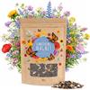 HAPPY SEED 500g Semi di prato di farfalla per un prato di fiori colorati - ricco di nettare mix di semi di fiori selvatici per le farfalle