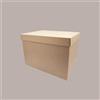 LUCGEL Scatola Baule con Coperchio Carta Avana Liscio 490x340H340 mm 2 pezzi