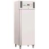 Congelatore verticale professionale AFP/GNB600BT