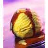 Pasta classica di panna cotta AFP/ ULTRAGEL35