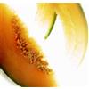 Linea naturale per gelateria gusto melone AFP/ ULTRAGEL56