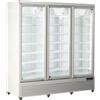 Espositore vetrina refrigerata verticale AFP/ RFG1900