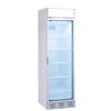 Armadio frigorifero AFP/40GCOLD