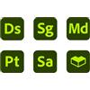 Adobe Substance 3D Collection for Teams - Abbonamento 12 mesi - 65317574CA01A12