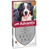 ELANCO ITALIA SpA ADVANTIX SPOT ON*4PIP 40-60KG