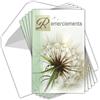 AFIE C5202 - Set di 5 biglietti identici + 5 buste bianche formato 9 x 14 cm, morti ossessionate, funerali, lutto, fiori essiccati, dente di leone, seminare, pochette made in France