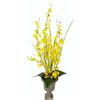 Flair Flower Orchidea Danzante nel Coppa, Giallo, 78x20x20 cm